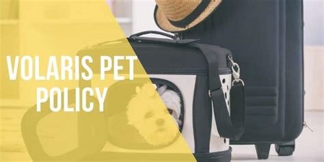 Volaris Pet Travel: Frequently Asked Questions Answered